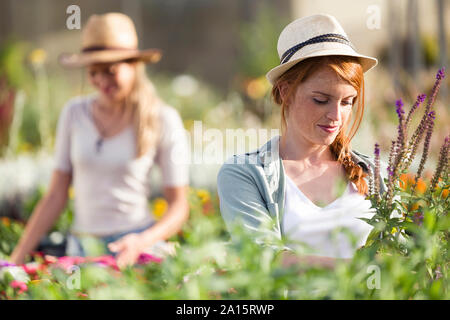 Beautiful young woman taking care of plants and flowers in the greenhouse Stock Photo