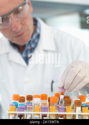 Medical technican checking blood samples in lab Stock Photo