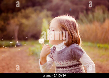 Girl blowing seeds from dandelion clock in field Stock Photo