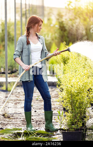 Young woman watering plants in the greenhouse Stock Photo