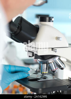 Medical Screening, Scientist examining a glass slide containing a human sample under a microscope and blood sample Stock Photo
