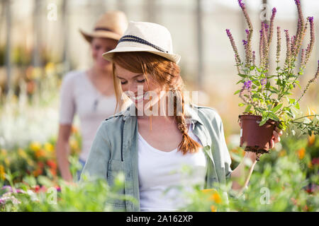 Beautiful young woman taking care of flowers in the greenhouse Stock Photo