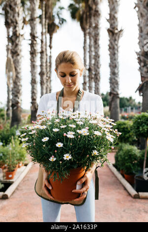 Female gardener holding potted flowering plant Stock Photo - Alamy