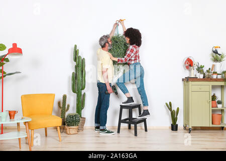 Couple hanging plant on the wall at home Stock Photo