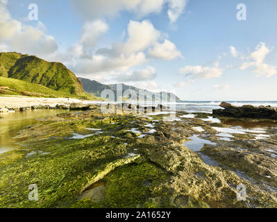 Scenic view of rocky shore at beach in Ka'ena Point State Park against sky Stock Photo
