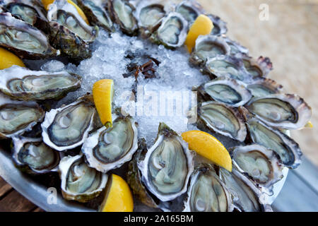 Oysters ice and lemon on a plate in a French restaurant Stock Photo