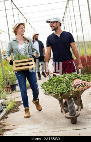 Smiling man and woman transporting plants with a wheelbarrow and wooden box in a greenhouse Stock Photo