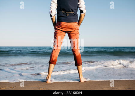 Rear view of well dressed man standing on a beach at water's edge Stock Photo