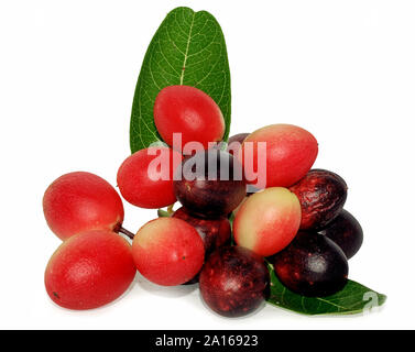 Karanda or Carunda fruit isolated on white background Stock Photo
