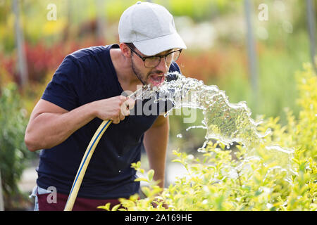 Young man drinking water from hose in the greenhous Stock Photo