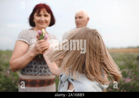 Blond little girl giving flowers to her grandmother on a meadow Stock Photo