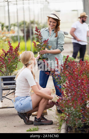 Two smiling young women taking care of plants in the greenhouse Stock Photo