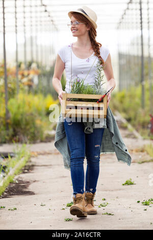 Beautiful young woman holding wooden box with plants in the greenhouse Stock Photo
