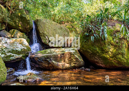 Small waterfall among the rainforest vegetation of Ilhabela island with mossy stones on the north coast of Sao Paulo state, Brazil Stock Photo