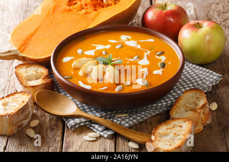 Serving of pumpkin and apple soup with seeds close-up in a bowl served with bread on the table. horizontal Stock Photo