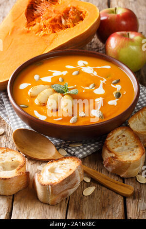 Pumpkin and apple soup with seeds, yogurt surrounded by ingredients close-up on the table. vertical Stock Photo