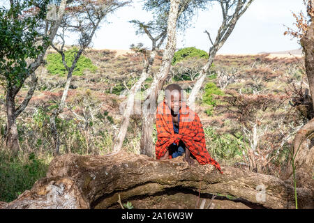 Masai children of Chief Eliedorop tend to younger children and family goats. Stock Photo