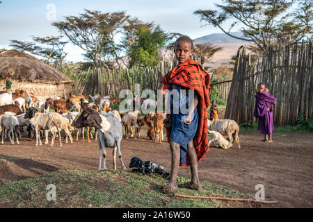 Masai child is responsible for family goats, guards newborn goat and its mother. Stock Photo