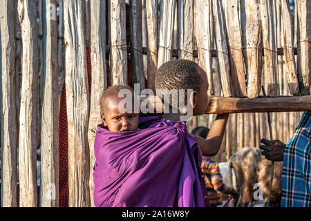 Masai children of Chief Eliedorop tend to younger children and family goats. Stock Photo