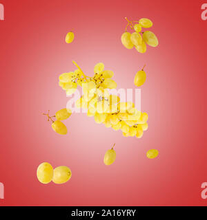 Fresh falling yellow grapes isolated on red background Stock Photo