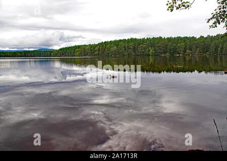 Loch Garten, Boat of Garten, Nethy Bridge, Scottish Highlands, Cairngorms, Scotland Stock Photo