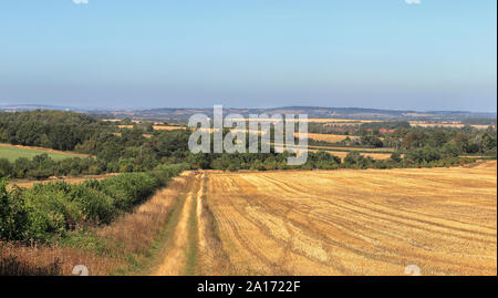 An English Rural Landscape in the Chiltern Hills with fields of golden wheat stubble Stock Photo