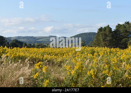 Scenic mountainous areas in Central New York State, around the Finger Lakes region -02 Stock Photo
