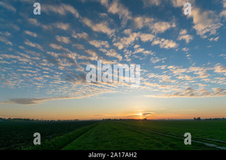 Sunset with altocumulus clouds over the Dutch polder landscape near Gouda Stock Photo