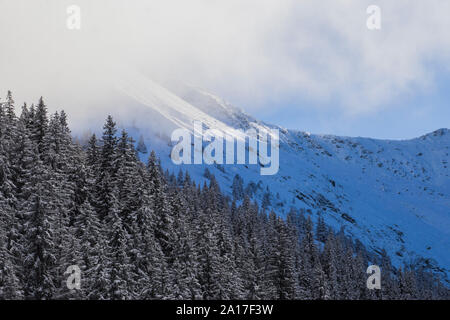 Clouds covering the mountain top above forest, in Romanian Carpathian Mountains Stock Photo