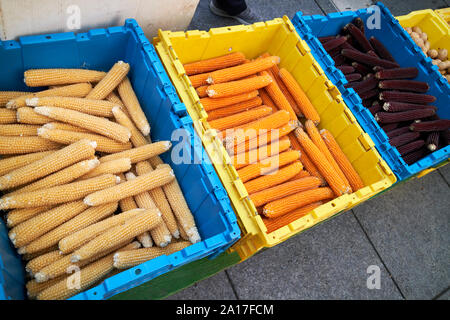 corn on the cob including purple corne at chicago fresh food farmers market chicago illinois united states of america Stock Photo