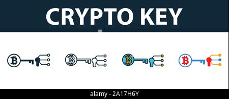 Crypto Key icon set. Premium symbol in different styles from fintech technology icons collection. Creative crypto key icon filled, outline, colored Stock Vector