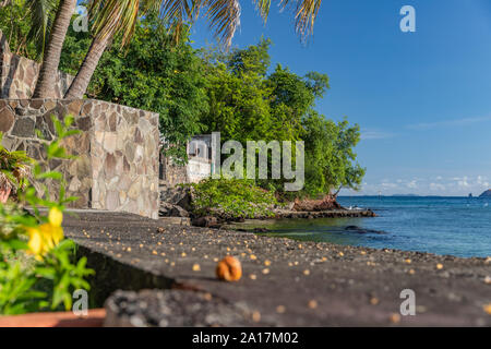 vegetation alamy