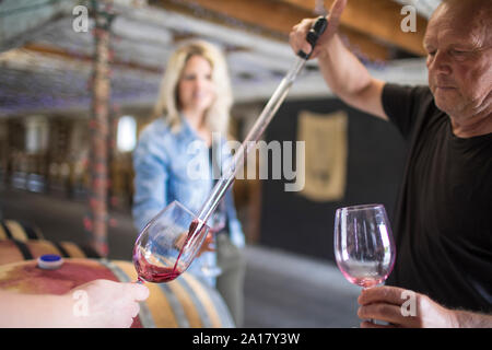 Wine tasting in storeroom at a local vineyard. Stock Photo