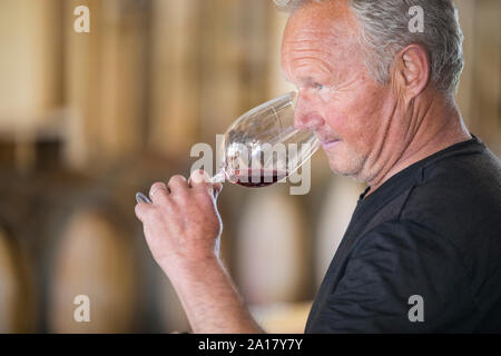Senior Winemaker drinking wine Stock Photo