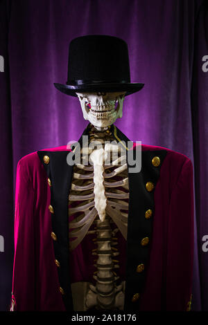 Showman skeleton in red jacket and hat. Halloween party concept. Stock Photo