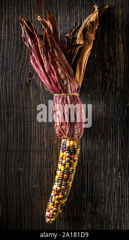 Dried multicolored corn cob on a textured, dark wood background Stock Photo