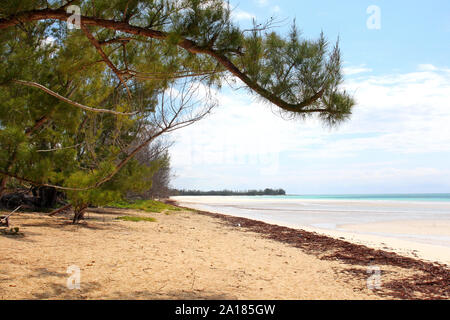 Gold Rock Beach on Grand Bahama Island has a beautiful tranquil side. Being further away from Freeport and Lucaya it doesn't get large tourist crowds. Stock Photo