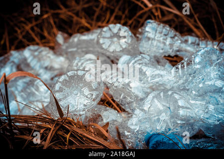 Crushed plastic bottles of mineral water and bottle caps on green grass in nature. Concept of environmental protection. Littering of environment. Stock Photo