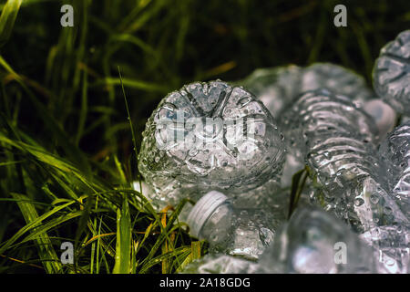 Crushed plastic bottles of mineral water and bottle caps on green grass in nature. Concept of environmental protection. Littering of environment. Stock Photo
