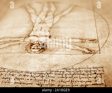 Photo of the Vitruvian Man by Leonardo Da Vinci from 1492 on textured background. Stock Photo