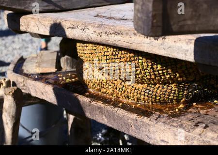 ACHAO, CHILE - FEBRUARY 6, 2016: Traditional apple juice press at the Muestras Gastronomicas 2016 Gastronomy Show in Achao, Chiloe Archipelago, Chile. Stock Photo