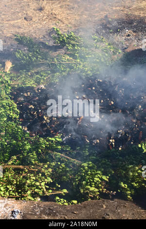 ACHAO, CHILE - FEBRUARY 6, 2016: The traditional Chilotan dish Curanto al hoyo is being prepared in a hole in the ground Stock Photo