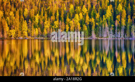 beautiful autumn landscape, yellowed trees are reflected in the lake Stock Photo