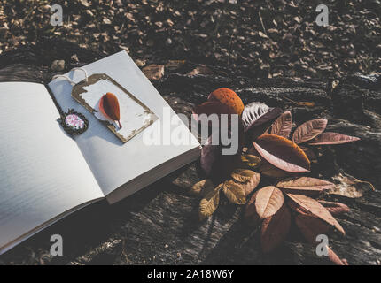 film styled image of opened book with bookmark and pendant lying on wooden log in autumn forest Stock Photo