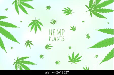 Cannabis hemp plants background horizontal pattern with marijuana hemp plant green leaves flat style design vector illustration isolated on bright bac Stock Vector