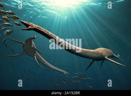 Elasmosaurus platyurus Swimming Stock Photo