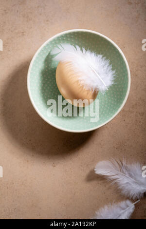 Fresh eggs with white feathers on plate, easter holiday Stock Photo