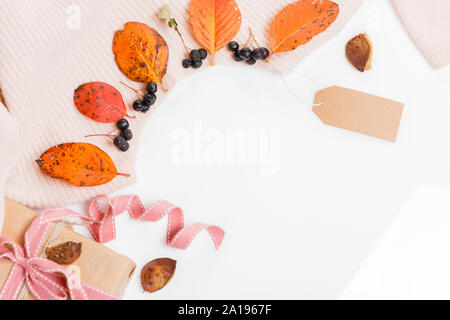 Woomen gentle beige pink sweater, dry autumn leaves and aronia berries on a white background. Flat lay, top view Stock Photo