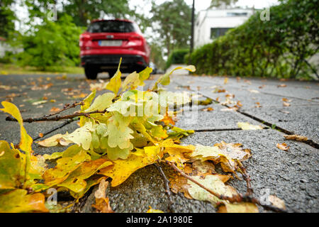 Nuremberg, Germany - September 23, 2019: Wet yellow autumn leaves are lying on the pavement with a car parking in front on a rainy autumn day in Germa Stock Photo