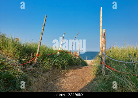 Foodpath surrounded by high grass and barrier with red rope leading to beach and sea on north sea island Texel in the Netherlands Stock Photo